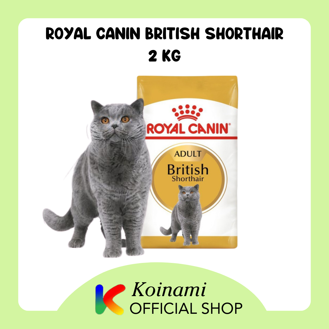 RC BRITISH SHORTHAIR 2 KG / royal canin / cat food / dry / makanan kucing / british short hair