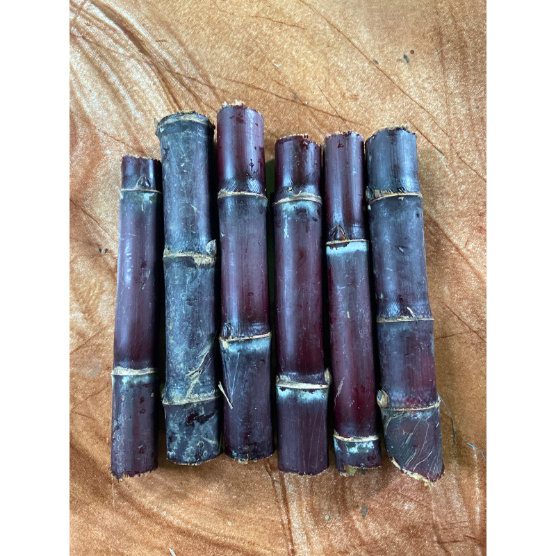 

Batang tebu hitam tebu ireng super 500 gram-az