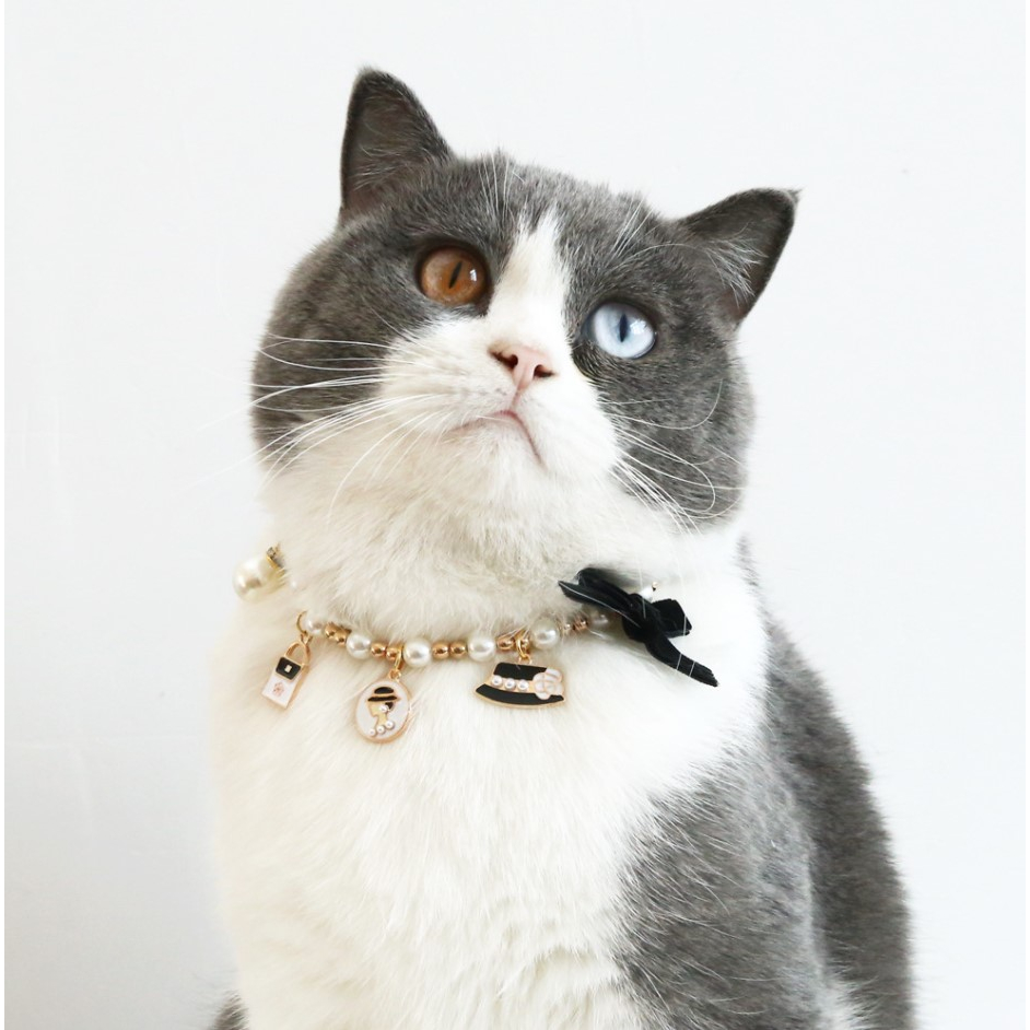 Premium Luxury Collar Cat Premium / Kalung Kuling Cantik / Kalung Kucing Unik