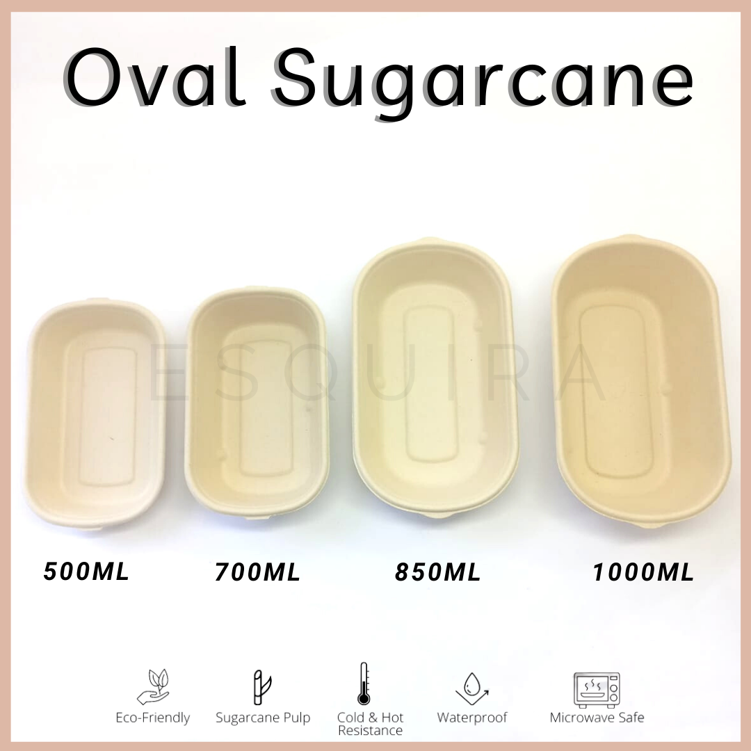 Oval Sugarcane Box 850 ML / Lunch Box 10 Pcs + Lid / TAB850