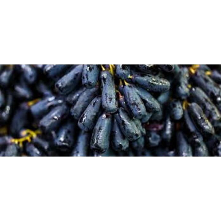 

Anggur black autumn seedless 500 grm