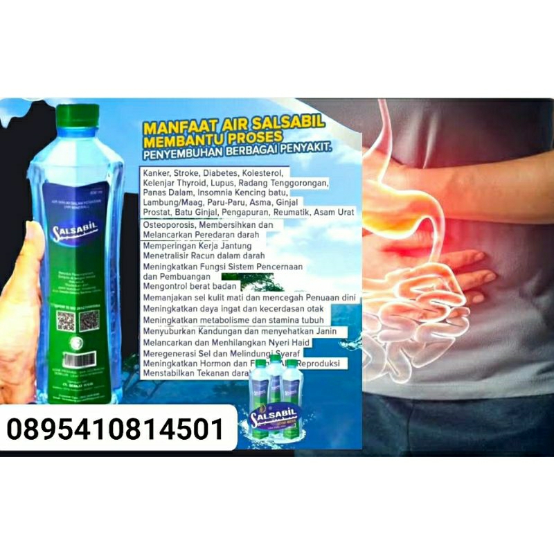 

Air organik salsabil PH8,Kelenjar tyroid,Kanker payudara,Jantung isi 10 botol
