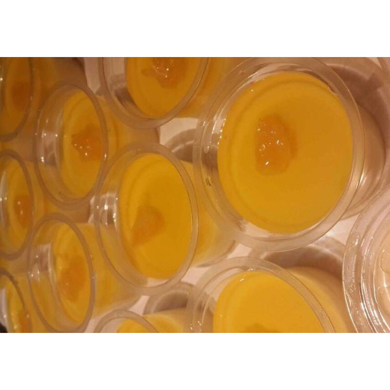 

puding cup jeruk