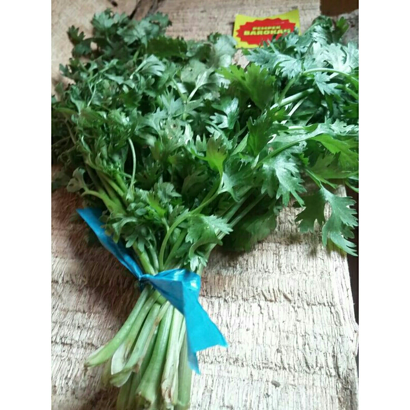 

Authentic | Daun Ketumbar