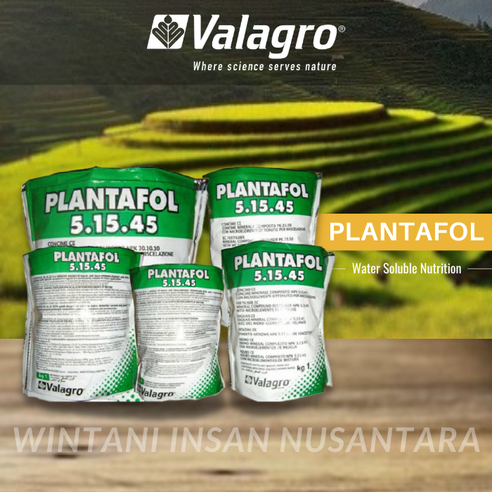 Pupuk NPK - Pupuk Padat Valagro PLANTAFOL 5 15 45 isi 1 Kg