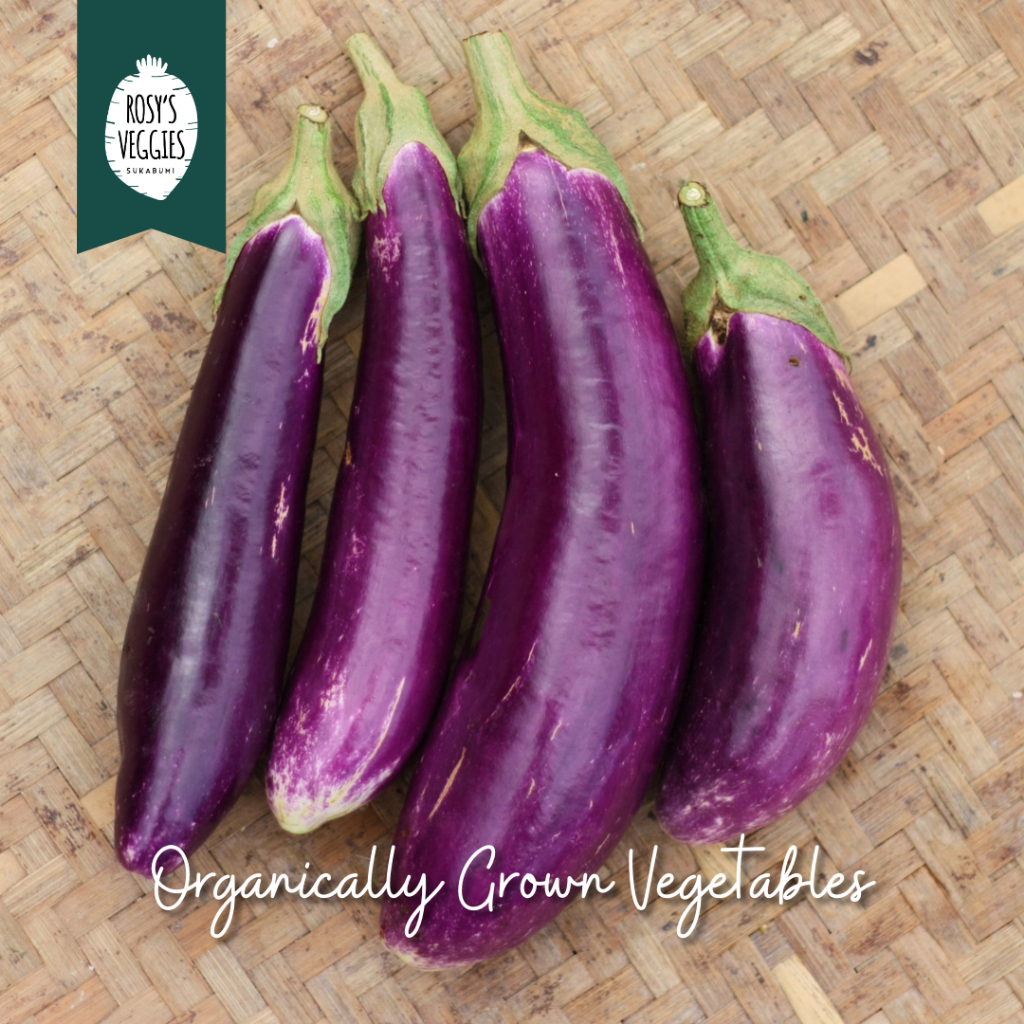 

Terong Ungu Organik | 500 gr