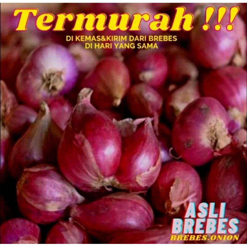 

Bawang Merah 1 kg