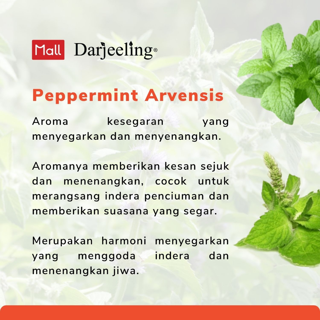 Darjeeling Bundle / Paket 2 x 10ml Essential Oil / Minyak Aromaterapi / Pengharum Ruangan