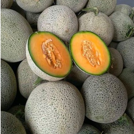 

Buah Melon Orange/Oren Fresh / 1 Pcs