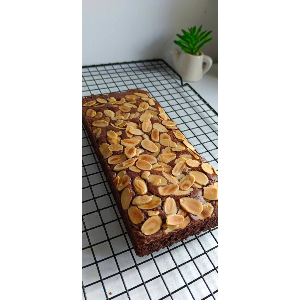 

Brownies Almon Premium || by Kennang