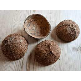 tempurung batok kelapa