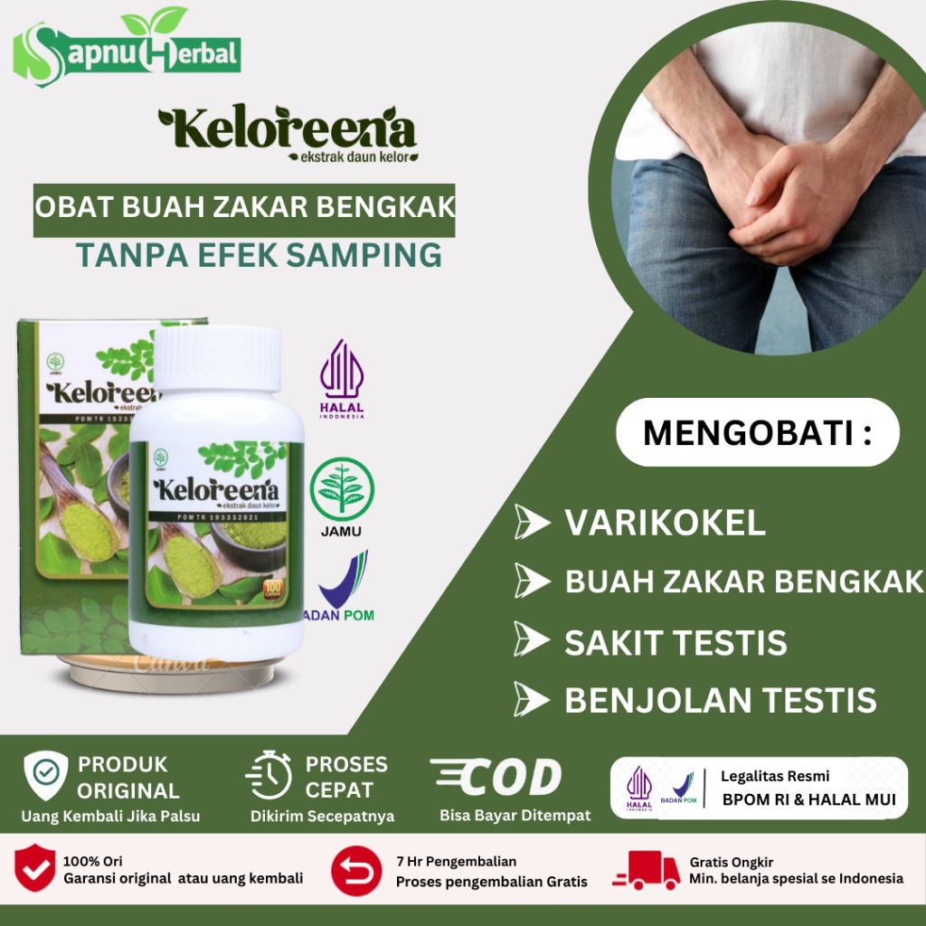 Obat Varikokel, Buah Zakar Bengkak, Buah Zakar Besar Sebelah, Hidrokel, Nyeri Testis, Pembengkakan S