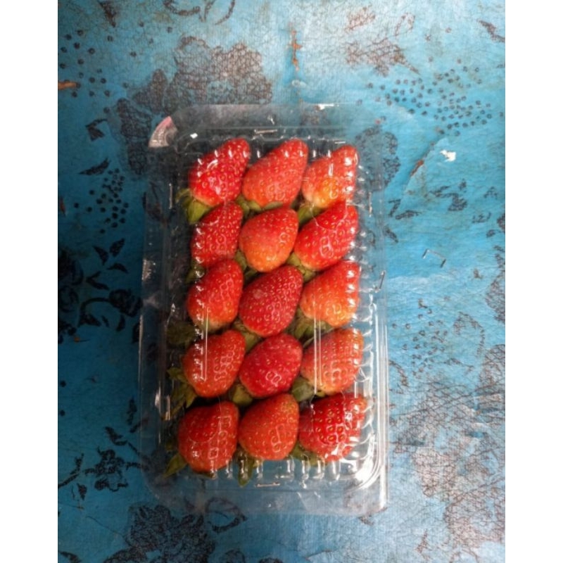 

Strawberry ±110gr grade C