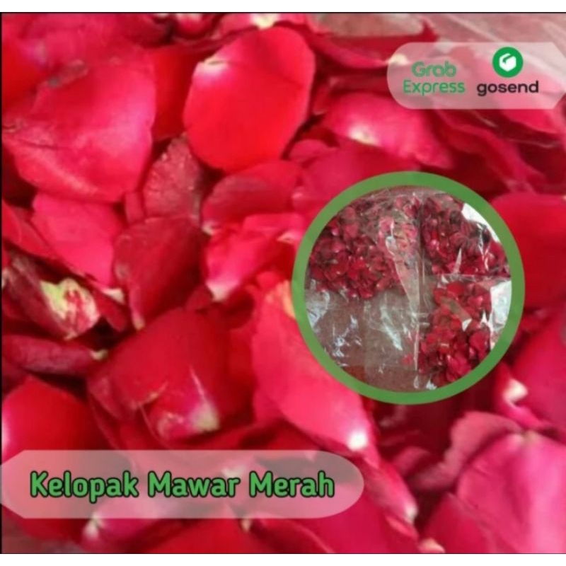 kelopak mawar merah tabur asli dan segar
