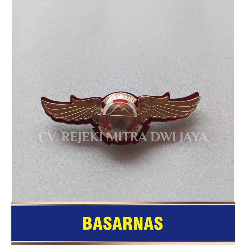 Pin Basarnas