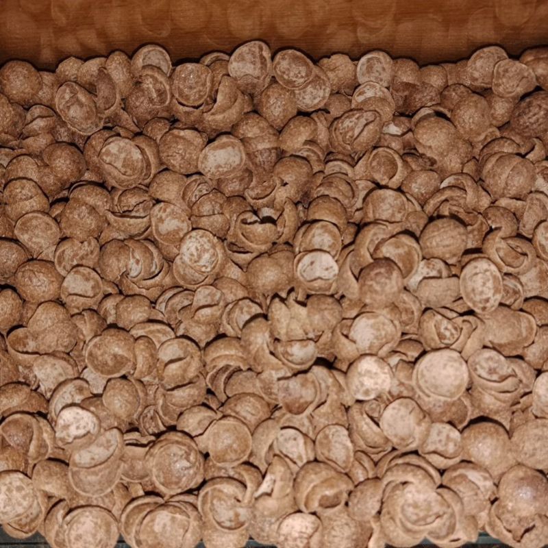 

COCO CRUNCH 500 GRAM