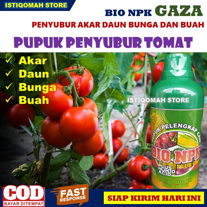 Pupuk Penyubur Akar dan Daun Tomat NKP GAZA 500ML Pupuk NPK Cair Pelebat Bunga dan Buah Tomat Paling Manjur, Pupuk Buah Tomat Super Lebat Petani Untung Tahan di Musim HUjan, Pupuk Penyubur Tanaman Tomat Terbaik