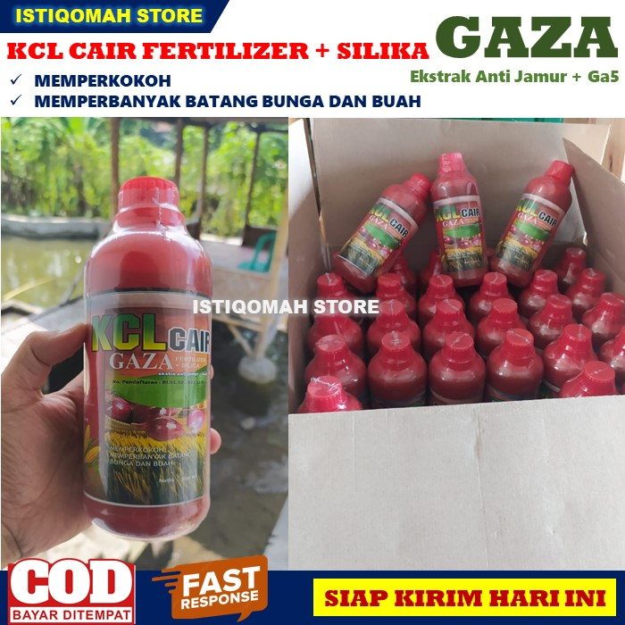 Pupuk Pelebat Bunga dan Buah Tomat KCL GAZA 500ML Pupuk KCL Cair Fertilizer + Silica Memperkokoh Memperbanyak Batang, Bunga dan Buah Tanaman Tomat yang Bagus dan Ampuh, Pupuk Cair Pelebat Bunga dan Buah Tomat Super Lebat TERLARIS