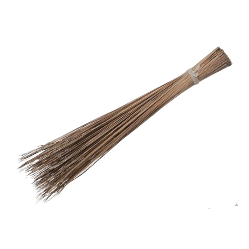 SAPU LIDI BESAR / SAPU HALAMAN
