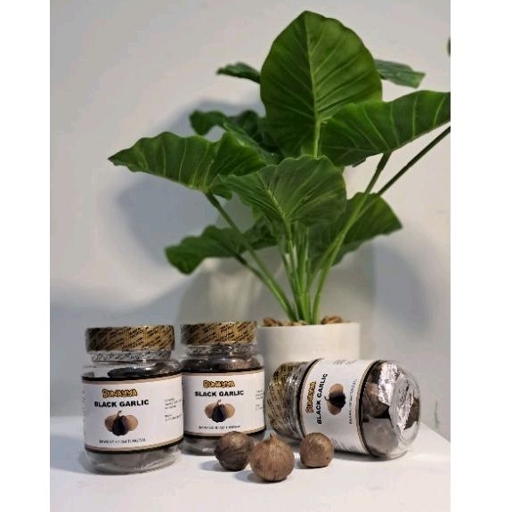 

BLACK GARLIC | BAWANG HITAM TUNGGAL BUNAYYA | PENINGKAT IMUN ATASI STROKE, DARAH TINGGI, KOLESTEROL