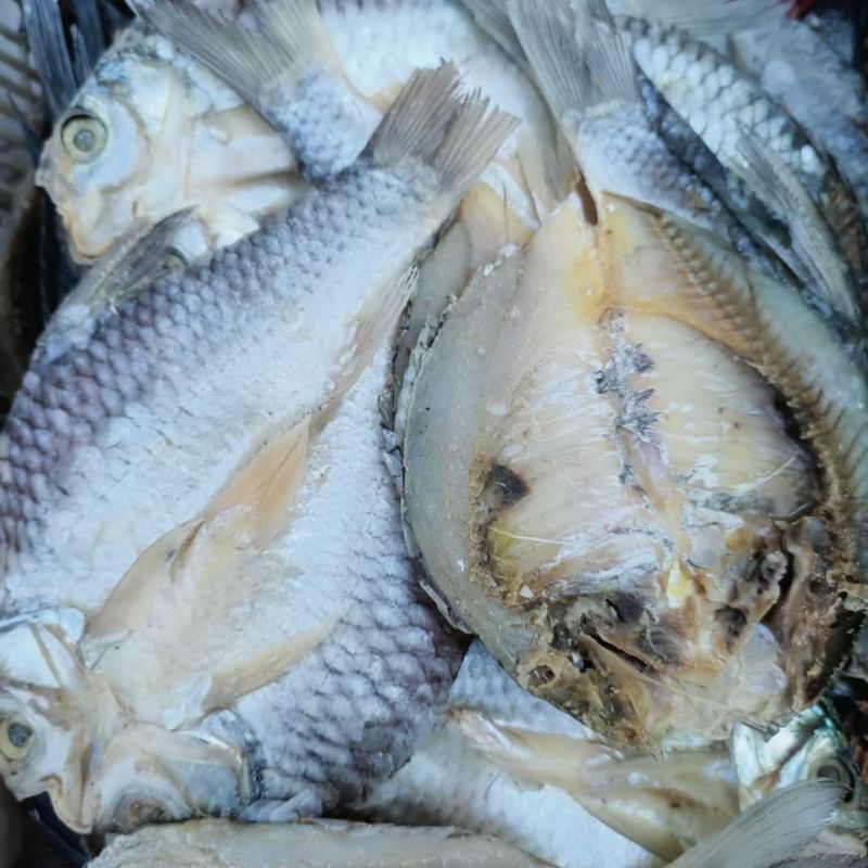 

Ikan Asin BADER / SOWA