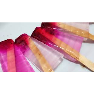 Cetakan Es Lilin Cetakan Eskrim Stik Lolipop Jelly Agar 6 Lubang Cetakan Es Gabus Plastik Food Grade