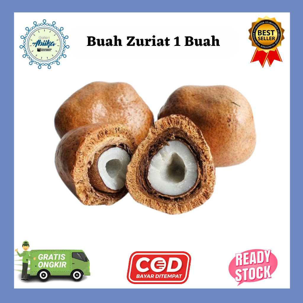 

Buah Zuriat Mesir 1 Buah - PROMIL -