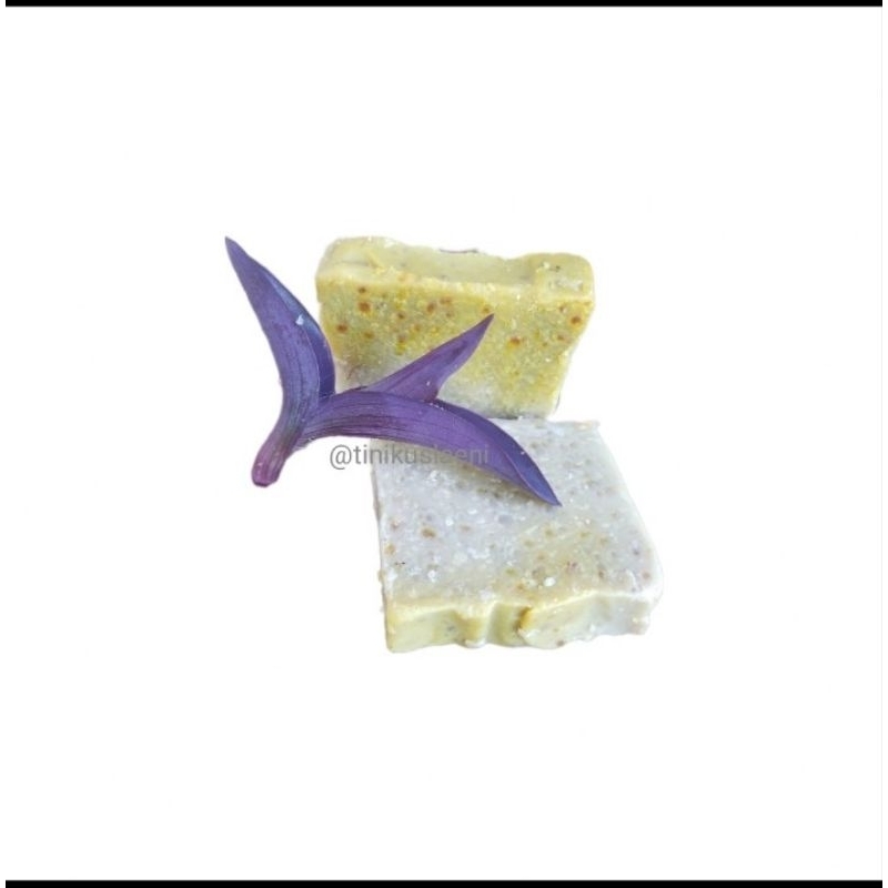 Mogal Sabun Talas Jepang Satoimo