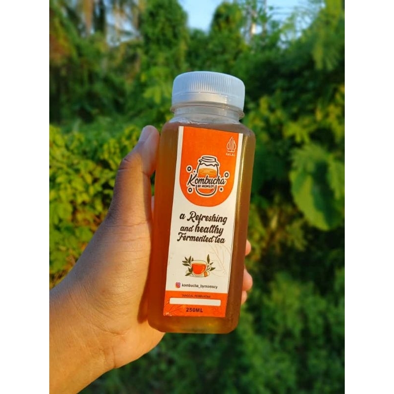 ‼️Ready Siap Kirim‼️Minuman Kombucha By momscy