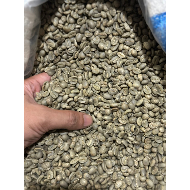 

GREEN BEANS ARABIKA FULLWASH JAWA BARAT