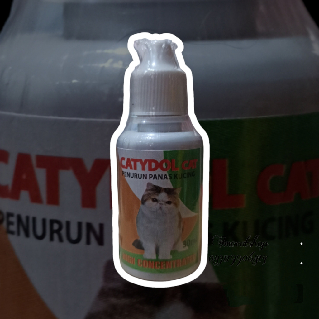 catydol cat obat penurun demam kucing