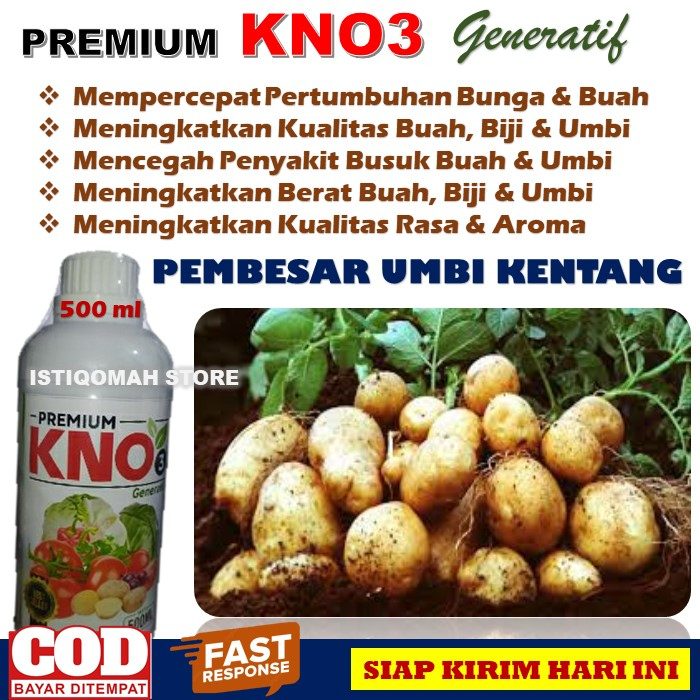 Pupuk Pembesar Umbi Kentang Paling Bagus Premium KNO3 500ml Pupuk Anti Busuk Umbi Kentang Terbaik Murah Terlaris