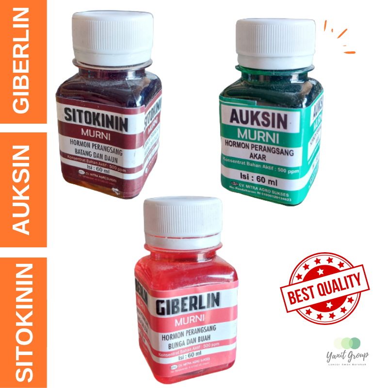 AUKSIN, GIBERELIN, SITOKININ, ZAT PENGATUR TUMBUHAN, ZAT PENGATUR BUAH DAN TANAMAN ORIGINAL