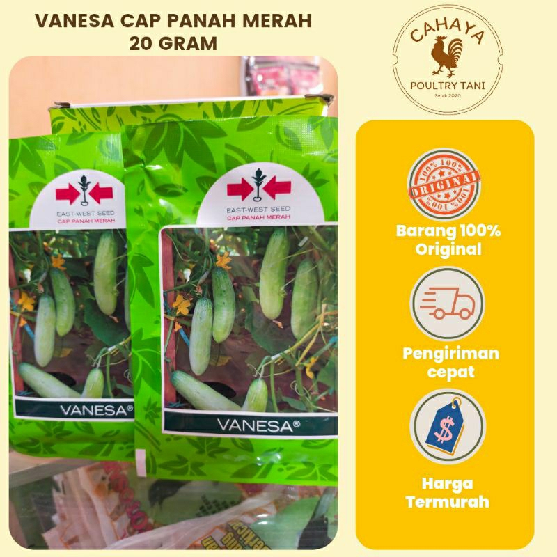 Benih Timun Lalap VANESA 20g Cap Panah Merah