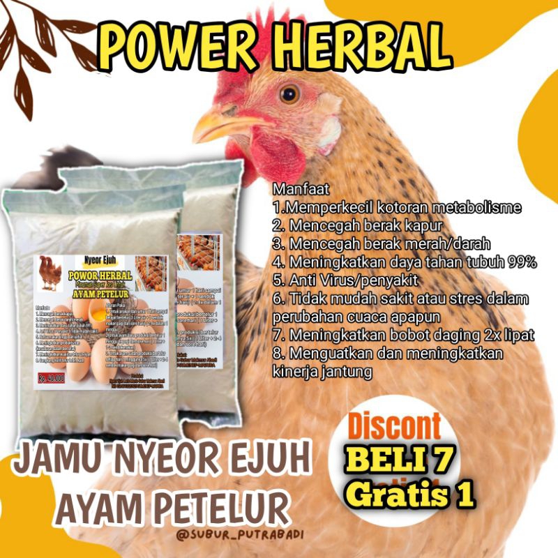 

Jamu Ayam Petelur Vitamin Herbal Nyeor Ejuh 100% Original