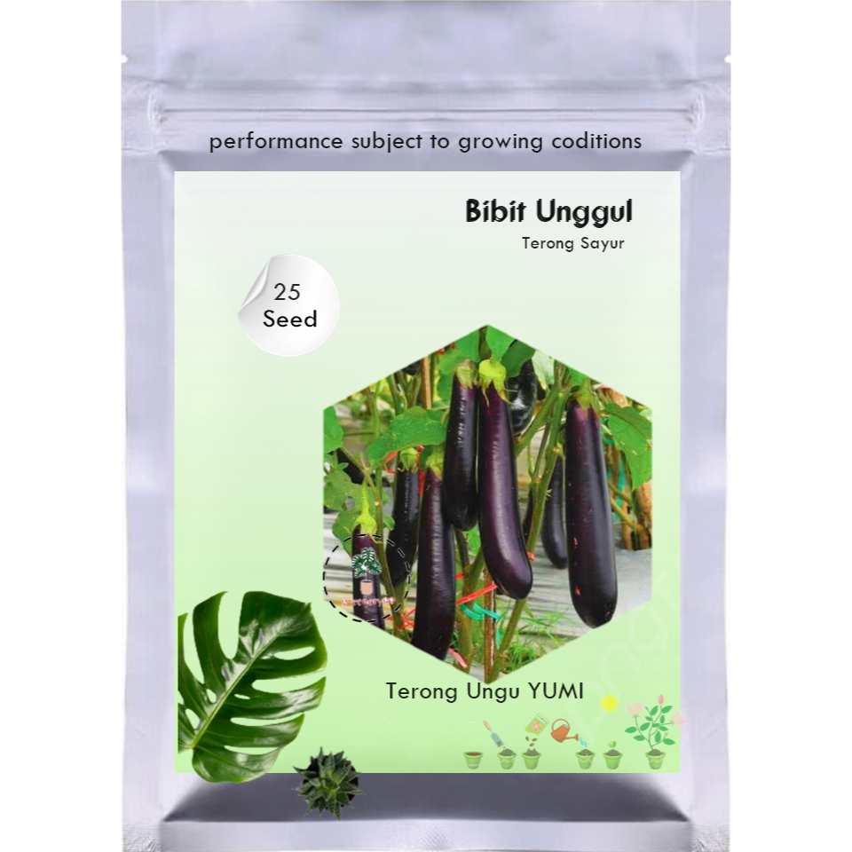 isi ± 25 Biji Biji  Benih Terong Ungu YUMI F   Benih Terong Favorit Petani  Bibit Sayuran
