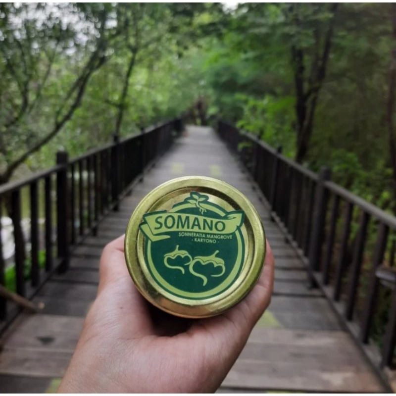

SELAI BUAH MANGROVE free stiker / isolasi momo