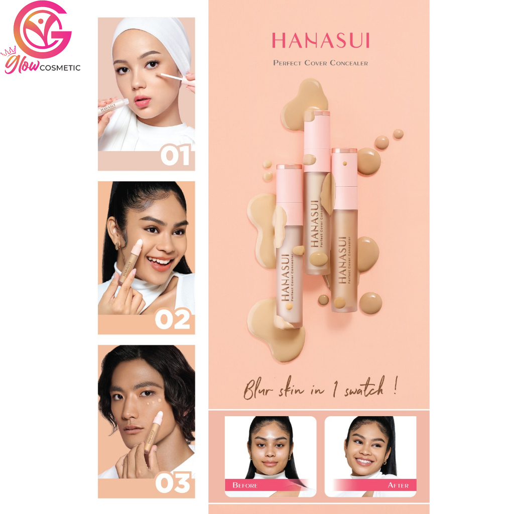 HANASUI PERFECT COVER CONCEALER 4.5GR