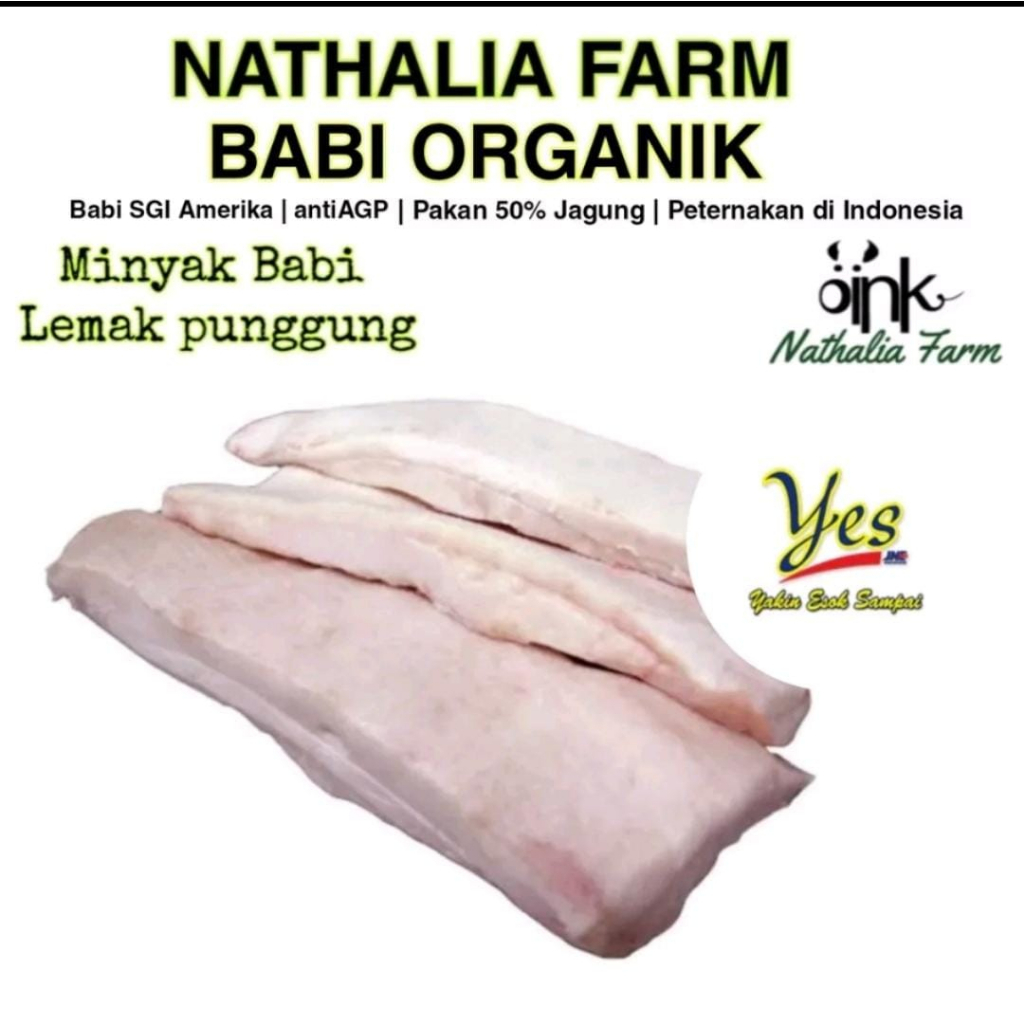 

Babi Organik LEMAK PUNGGUNG MINYAK BABI daging babi organik nathalia farm organic pork