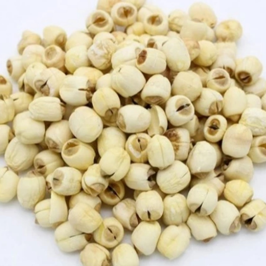 

Biji Lotus Teratai 1 ons