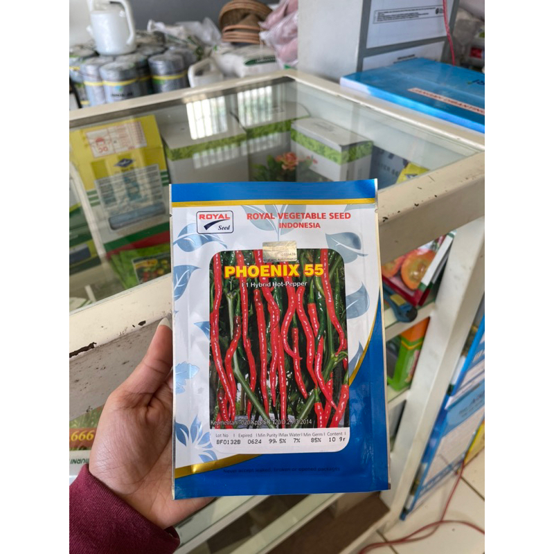 Benih Cabai PHOENIX 55 / Bibit Cabe Merah ponix