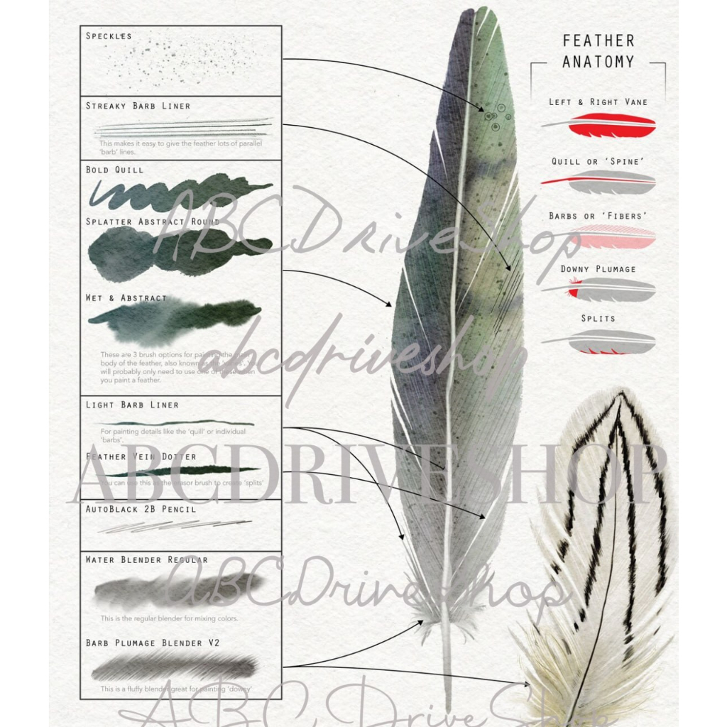 Procreate Brush - Watercolor Feather Brush Kit for Procreate