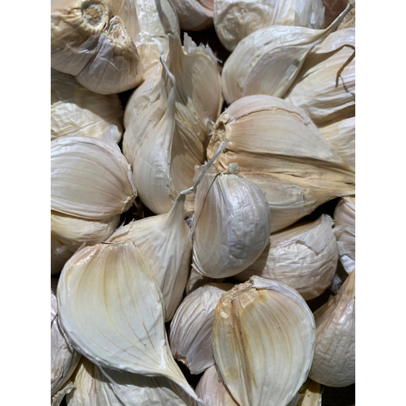 

Bawang Putih Kating Fresh 1kg/500gr Bawang Murah