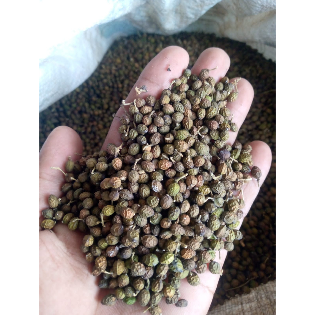 

Biji melur/kwalot/makassar kering 500 gram vacum packing