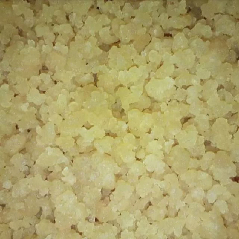 Bibit Teratai Salju 500gr