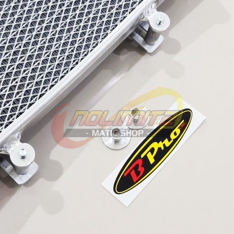 Radiator BPro B Pro Racing Yamaha R25 MT25