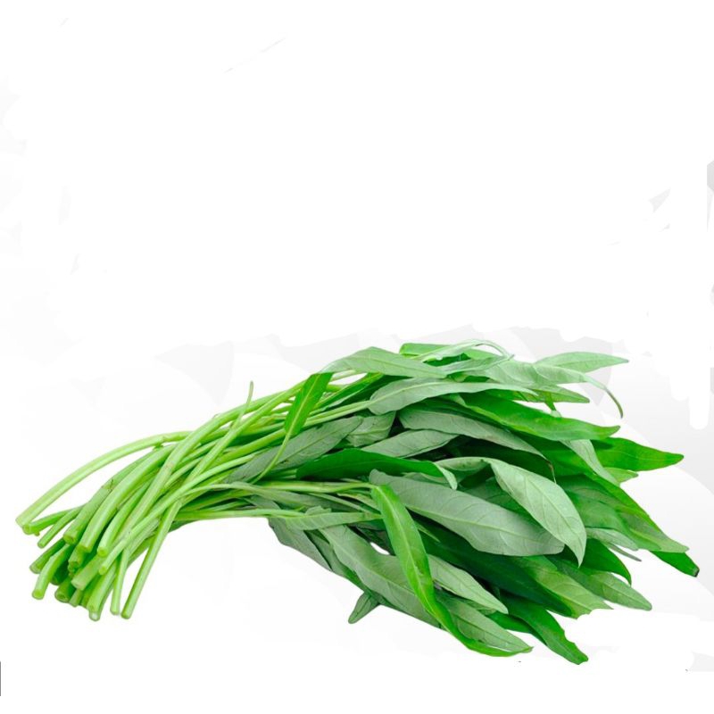 

KANGKUNG SEGAR HARGA PER IKAT