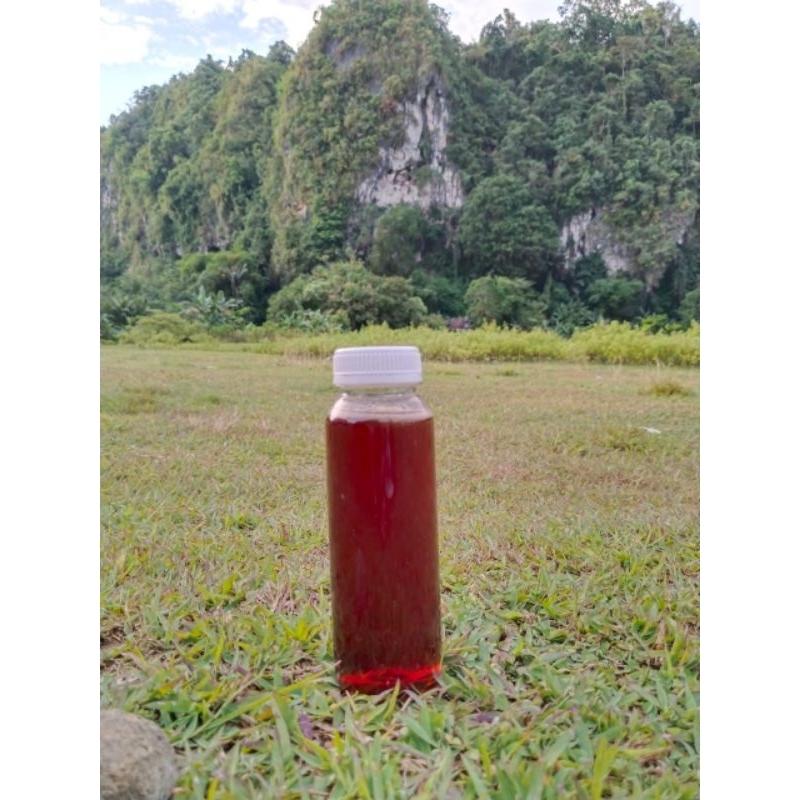 

madu hutan asli madu lebah madu murni 250ml