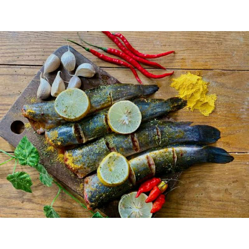 

IKAN LELE UNGKEP BUMBU KUNING 7 EKOR