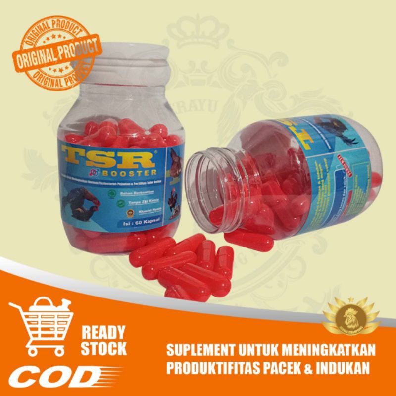 TSR Booster Suplemen Pacek & Biang